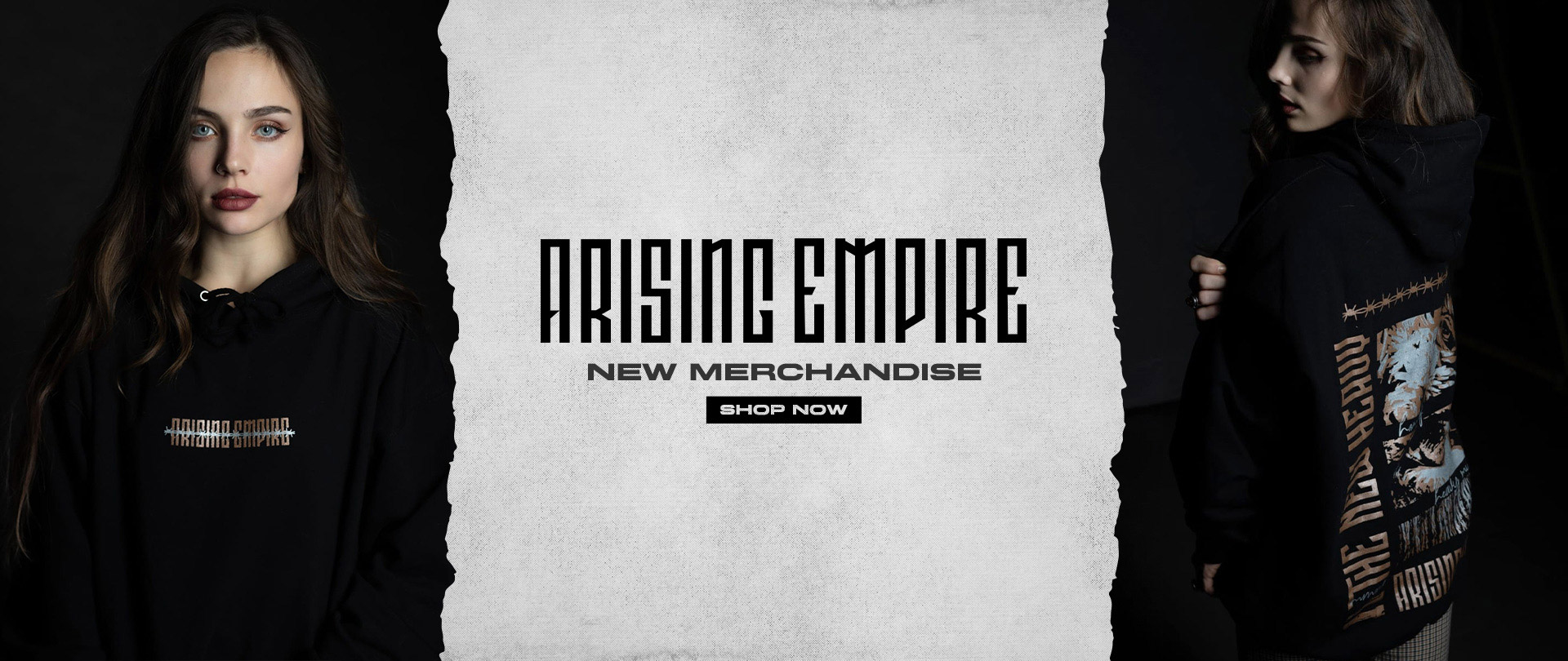 AE_Brand_Banner_Hoodie