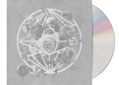 COLD NIGHT FOR ALLIGATORS - The Hindsight Notes CD